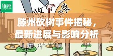 滕州砍树事件揭秘，最新进展与影响分析