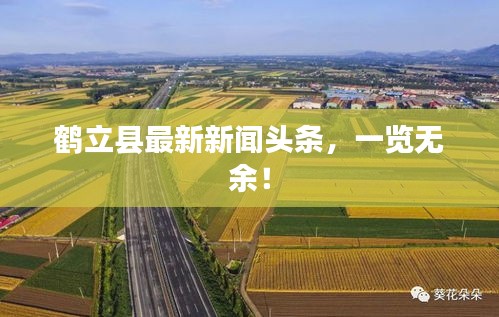 鹤立县最新新闻头条，一览无余！