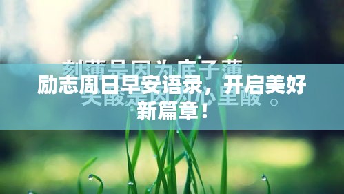励志周日早安语录，开启美好新篇章！