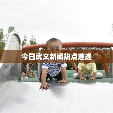 今日武义新闻热点速递