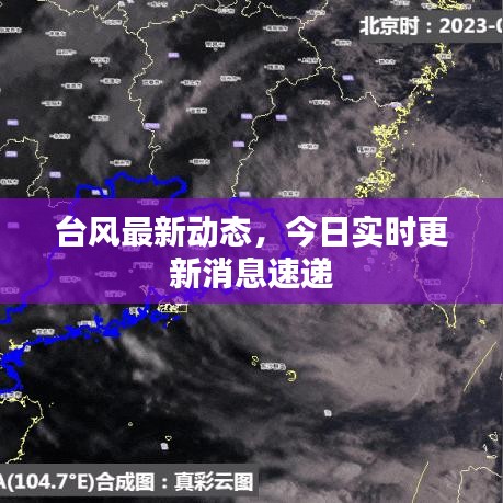 台风最新动态，今日实时更新消息速递