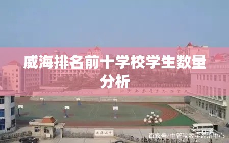 威海排名前十学校学生数量分析
