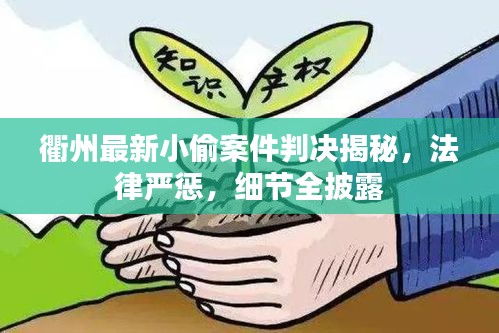 衢州最新小偷案件判决揭秘，法律严惩，细节全披露