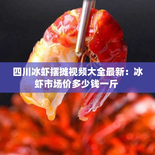 四川冰虾摆摊视频大全最新：冰虾市场价多少钱一斤 