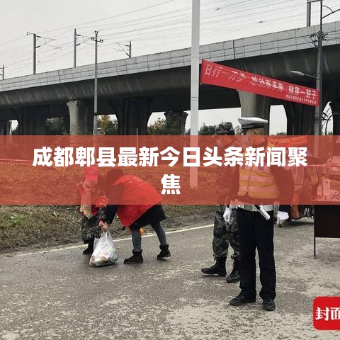 成都郫县最新今日头条新闻聚焦