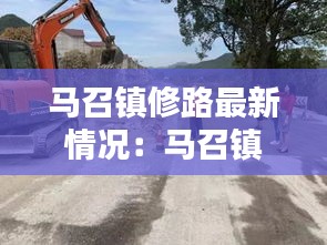 马召镇修路最新情况：马召镇政府网 