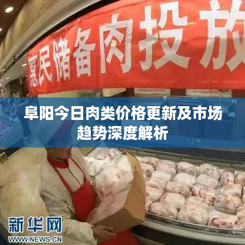 阜阳今日肉类价格更新及市场趋势深度解析