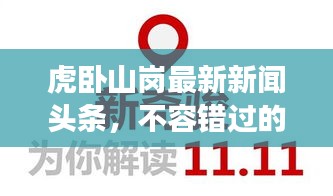 虎卧山岗最新新闻头条，不容错过的现场报道！