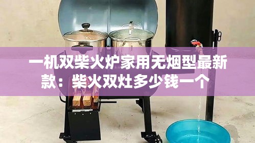 一机双柴火炉家用无烟型最新款：柴火双灶多少钱一个 