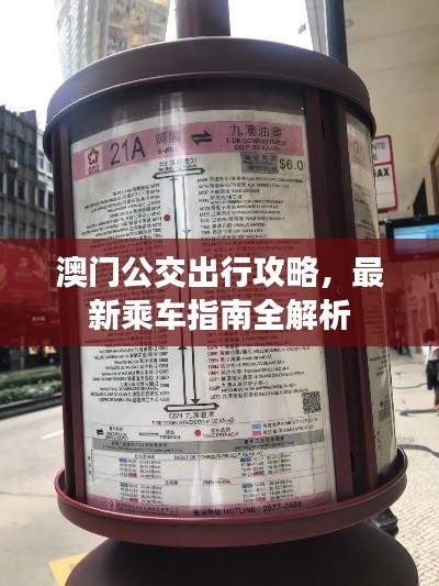 澳门公交出行攻略，最新乘车指南全解析