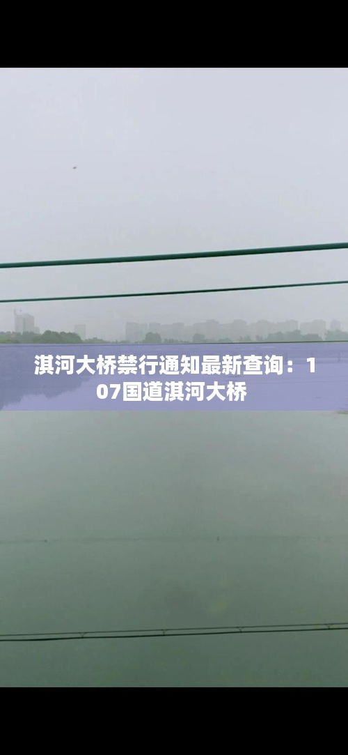 洵属可贵 第2页