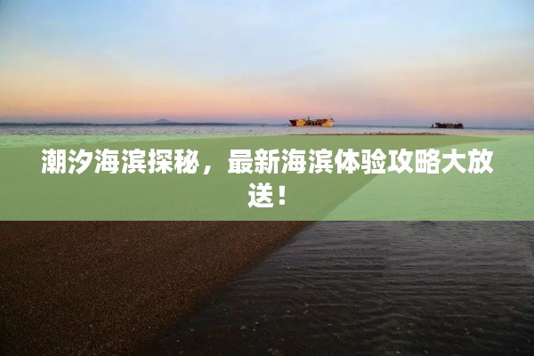 潮汐海滨探秘，最新海滨体验攻略大放送！