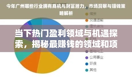 当下热门盈利领域与机遇探索，揭秘最赚钱的领域和项目！