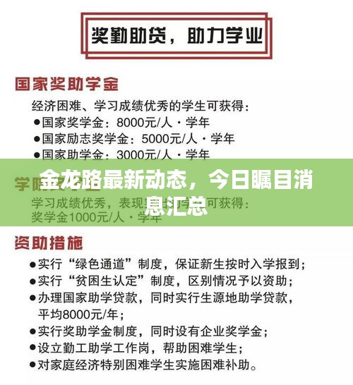 金龙路最新动态，今日瞩目消息汇总