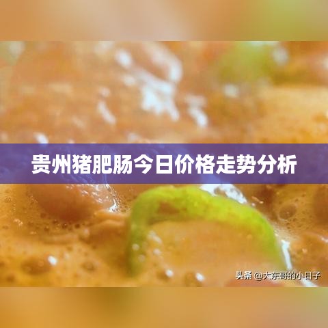 贵州猪肥肠今日价格走势分析