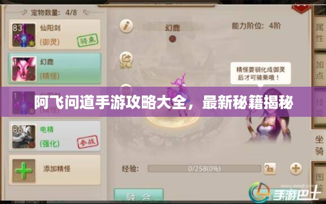 阿飞问道手游攻略大全，最新秘籍揭秘