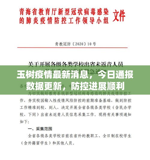 玉树疫情最新消息，今日通报数据更新，防控进展顺利