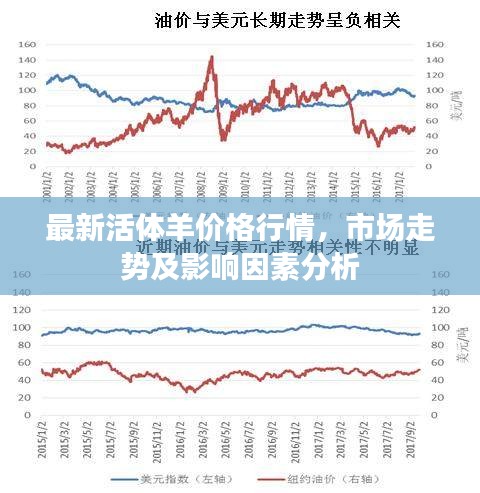 最新活体羊价格行情，市场走势及影响因素分析