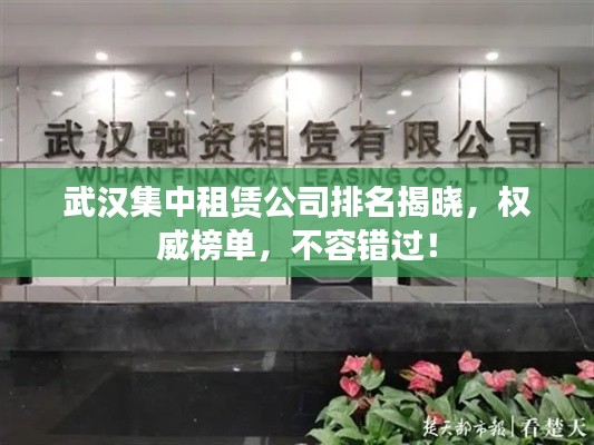 武汉集中租赁公司排名揭晓，权威榜单，不容错过！