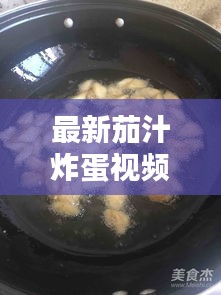 最新茄汁炸蛋视频教程：茄子炸鸡蛋的做法窍门 