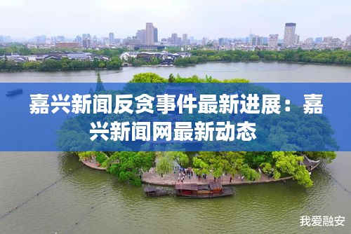 嘉兴新闻反贪事件最新进展：嘉兴新闻网最新动态 