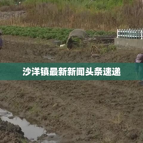 集思广益 第2页