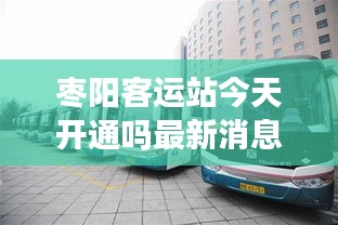 洁身自好 第2页