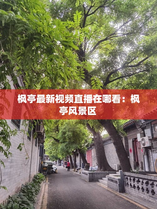 枫亭最新视频直播在哪看：枫亭风景区 