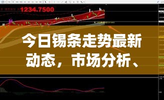 今日锡条走势最新动态，市场分析、前景展望一目了然！