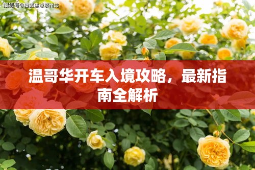 温哥华开车入境攻略，最新指南全解析
