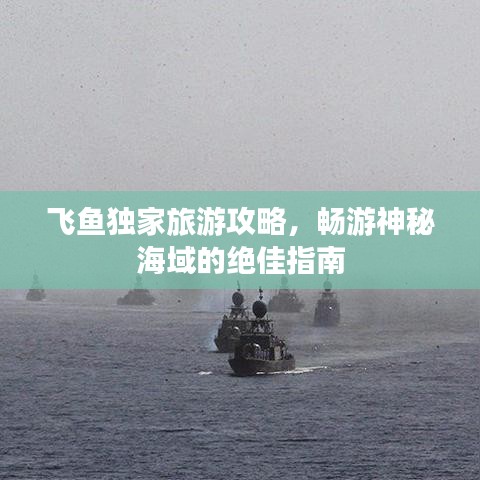 飞鱼独家旅游攻略，畅游神秘海域的绝佳指南