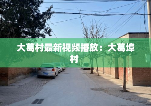 大葛村最新视频播放：大葛埠村 