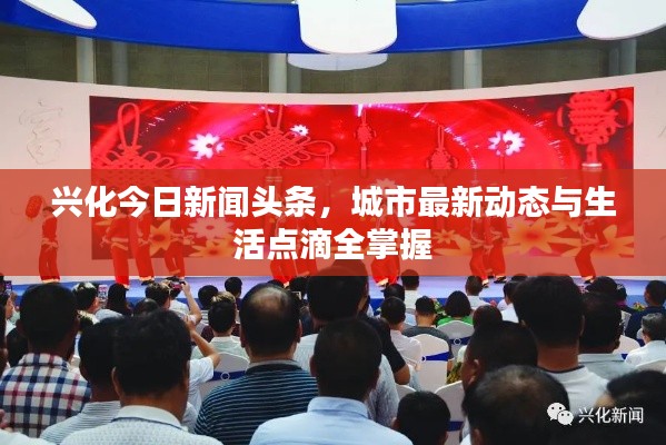 兴化今日新闻头条，城市最新动态与生活点滴全掌握