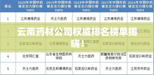 云南药材公司权威排名榜单揭晓！