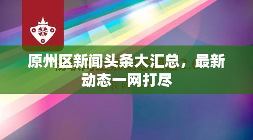 原州区新闻头条大汇总，最新动态一网打尽