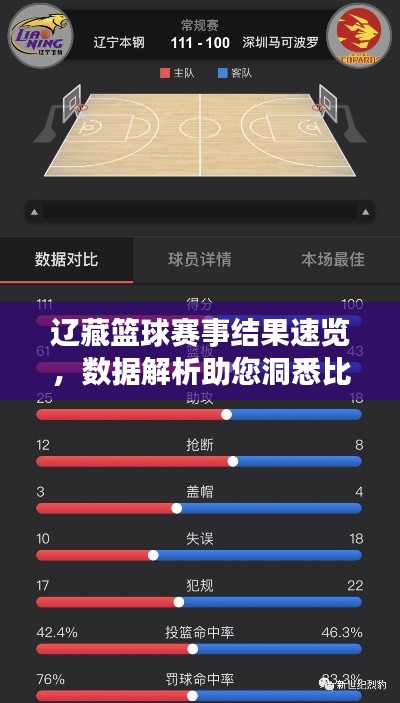 辽藏篮球赛事结果速览，数据解析助您洞悉比赛动态
