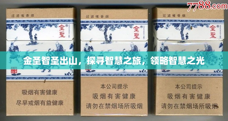 金圣智圣出山，探寻智慧之旅，领略智慧之光