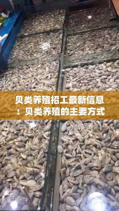 贝类养殖招工最新信息：贝类养殖的主要方式有哪些 