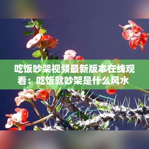 吃饭吵架视频最新版本在线观看：吃饭就吵架是什么风水 