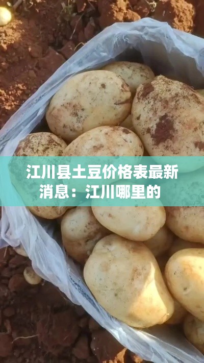 江川县土豆价格表最新消息：江川哪里的 