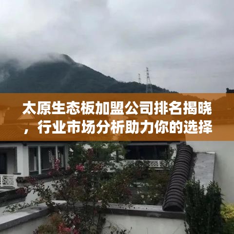 太原生态板加盟公司排名揭晓，行业市场分析助力你的选择！