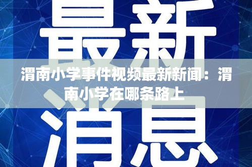 渭南小学事件视频最新新闻：渭南小学在哪条路上 