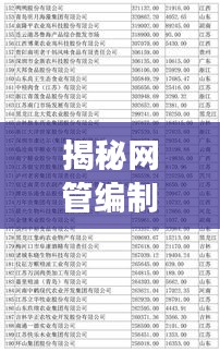 揭秘网管编制厂家排名前十强榜单！