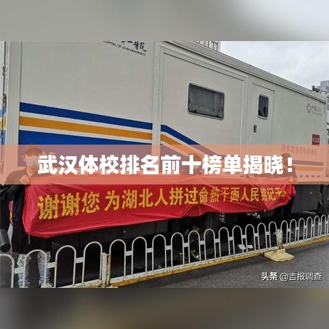 武汉体校排名前十榜单揭晓！