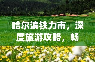 哈尔滨铁力市，深度旅游攻略，畅游美景不容错过！