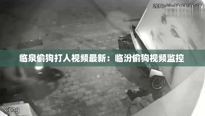 临泉偷狗打人视频最新：临汾偷狗视频监控 