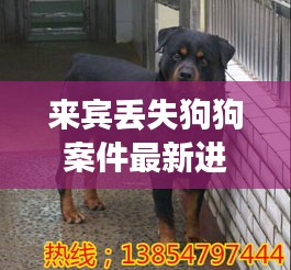 来宾丢失狗狗案件最新进展：来宾狗养殖基地在哪里 