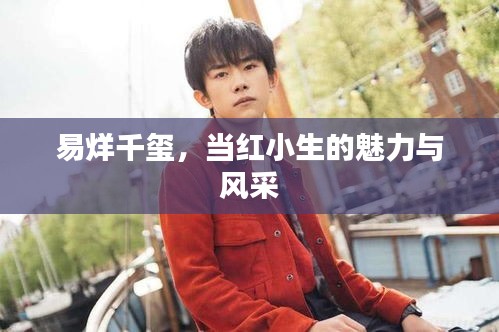 易烊千玺，当红小生的魅力与风采