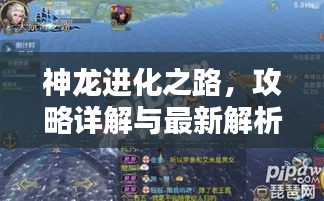 神龙进化之路，攻略详解与最新解析