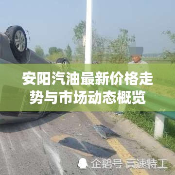 安阳汽油最新价格走势与市场动态概览